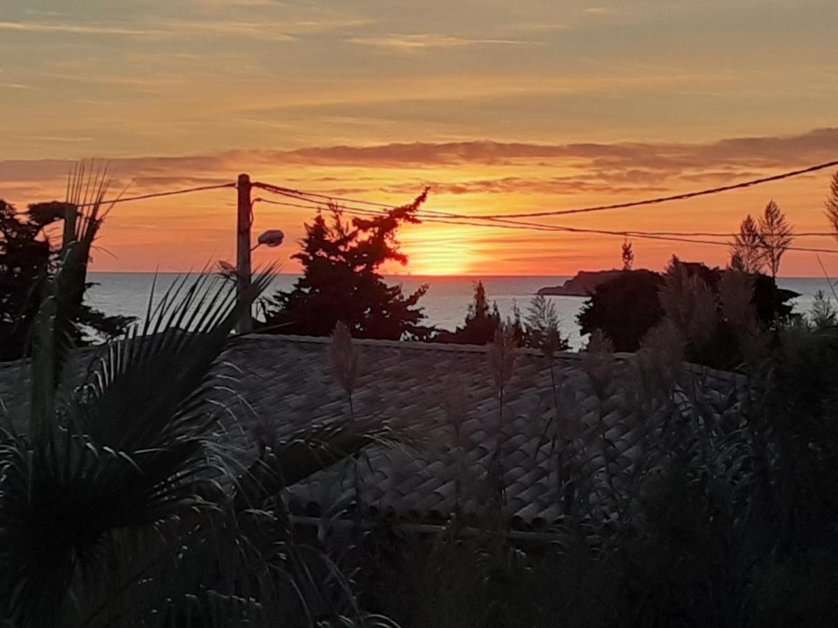 Terrasse Vue Mer, Plage Gorguette A 1 Minute A Pied, Wifi,clim, Parking Clos Privatif * Sanary-sur-Mer